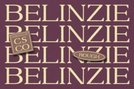 Belinzie Rough Demo Font