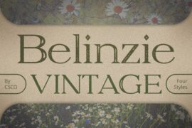Belinzie Vintage Demo Font