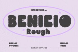 Benicio Rough Demo Font