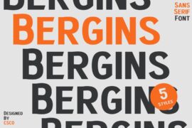 Bergins Demo Font