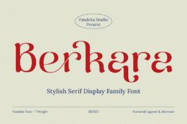 Berkara DEMO Font