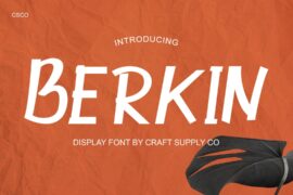 Berkin Demo Font