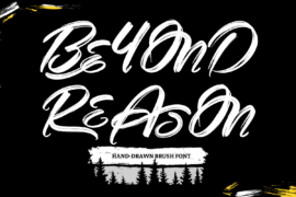 BEYOND REASON DEMO Font
