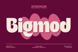 Bigmod Personal Use Only Font