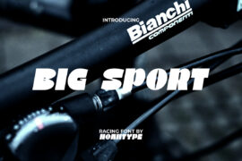 BigSportDemo Font