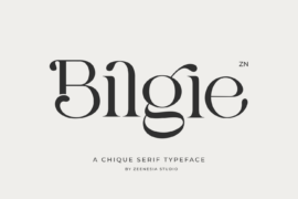 Bilgie Personal Use Only Font