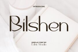 Bilshen Demo Font