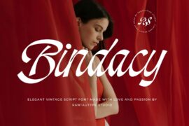 Bindacy Font