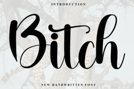 Bitch Font