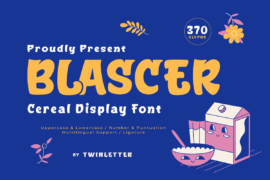 BLASCER personal Font