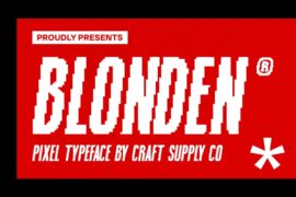 Blonden Pixel Demo Font