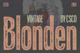 Blonden Vintage Demo Font