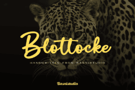 Blottocke Font