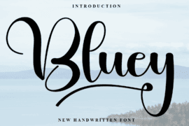 Bluey Font