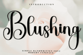 Blushing Wiskey Font