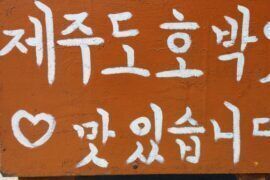 BM YEONSUNG Font Family