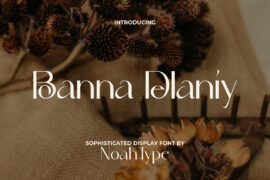 Boanna Delaniy Demo Font