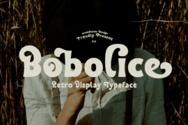 Bobolice DEMO Font