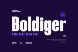 Boldiger Font