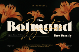 Bolmand Font Family