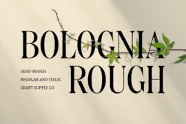 Bolognia Rough Demo Font