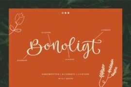 Bonoligt free vertion Font
