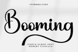 Booming Economy Font