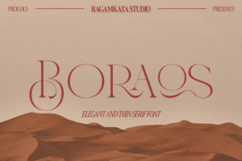 Boraos DEMO Font