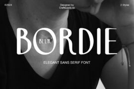 Bordie Blur Demo Font