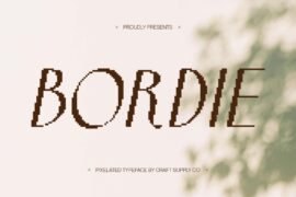 Bordie Pixel Demo Font