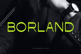 Borland Font