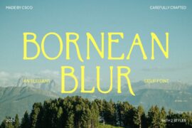 Bornean Blur Demo Font