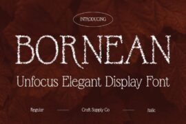 Bornean Unfocus Demo Font