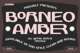 Borneo Amber Font