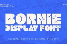 BORNIE DEMO Font