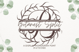 Botanest Split Monogram Font