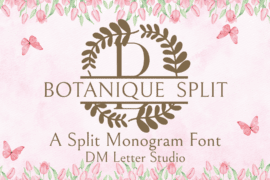 Botanique Split Monogram Font