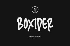 Boxider Demo Font