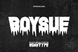 Boysue Demo Font