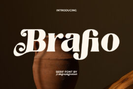 BrafioDemo Font