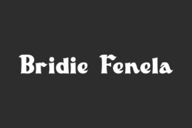 Bridie Fenela Demo Font