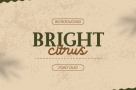 Bright Citrus Serif Font