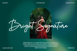 Bright Signature PERSONAL USE ONLY! Font