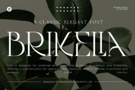 Brikelia Font