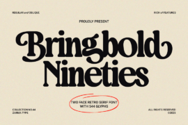 Bringbold Nineties Demo Font