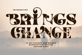 BRINGS CHANGE DEMO Font