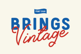 Brings Vintage Font Family