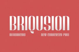 Briqusion Font