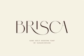 Brisca DEMO Font