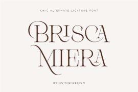 Brisca Miera DEMO Font